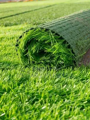 Grass Carpet – Stay Green With Zero Maintenance!