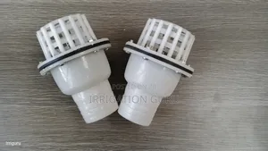 Check Valve With Strainer