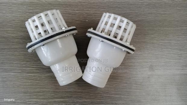 Check Valve With Strainer