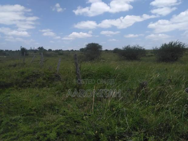 3 50by100 Plots for Sale Kajiado Off Namanga Road - thumbnail 2