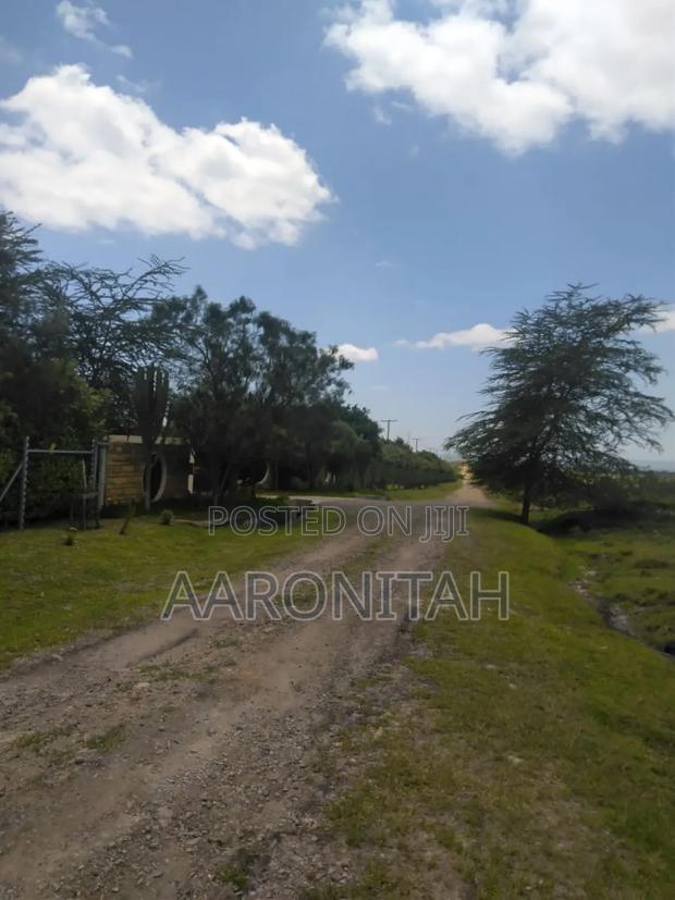 3 50by100 Plots for Sale Kajiado Off Namanga Road - thumbnail 5
