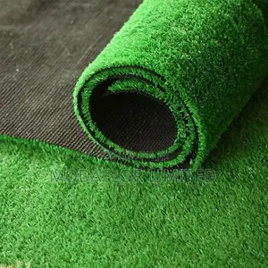 Soft, Durable Grass Carpet for Indoors Outdoors!