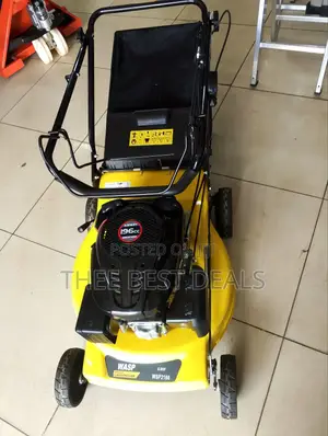Lawn Mower (Wasp) 21"