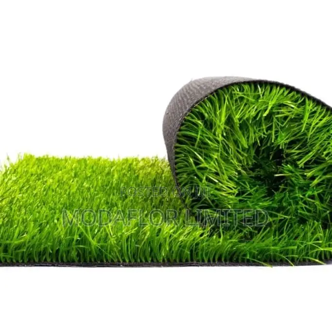 Grass Carpet – Green All Year Trough!