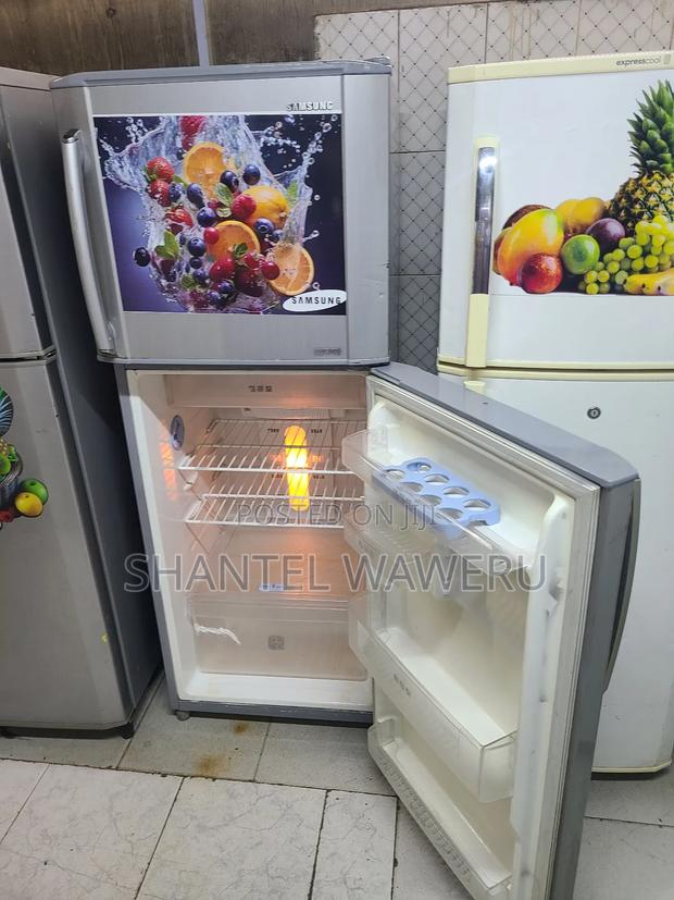 Double Refrigerator Freshness
