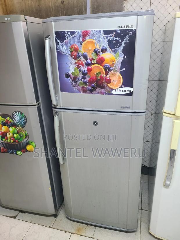 Double Refrigerator Freshness - thumbnail 3