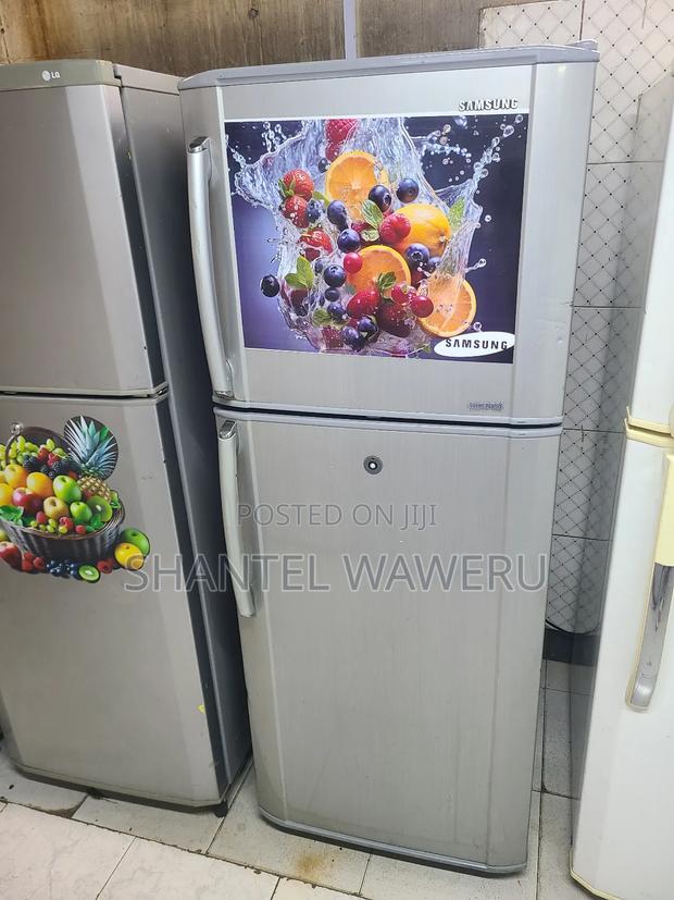 Double Refrigerator Freshness - thumbnail 4