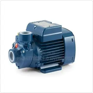 Pedrollo Pedrollo Water Pump