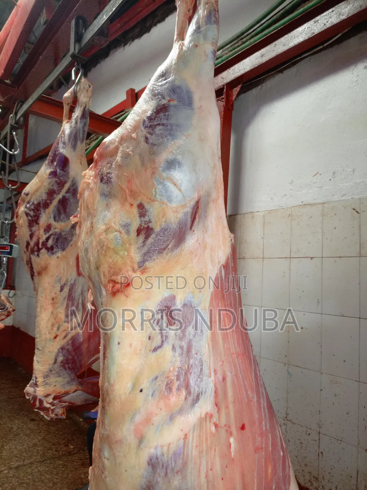 Beef, Stake, Mince Meat, Kichwa Ya Ng'ombe
