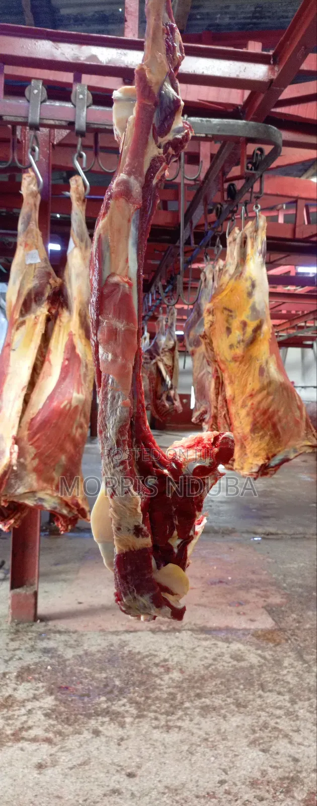 Beef, Stake, Mince Meat, Kichwa Ya Ng'ombe