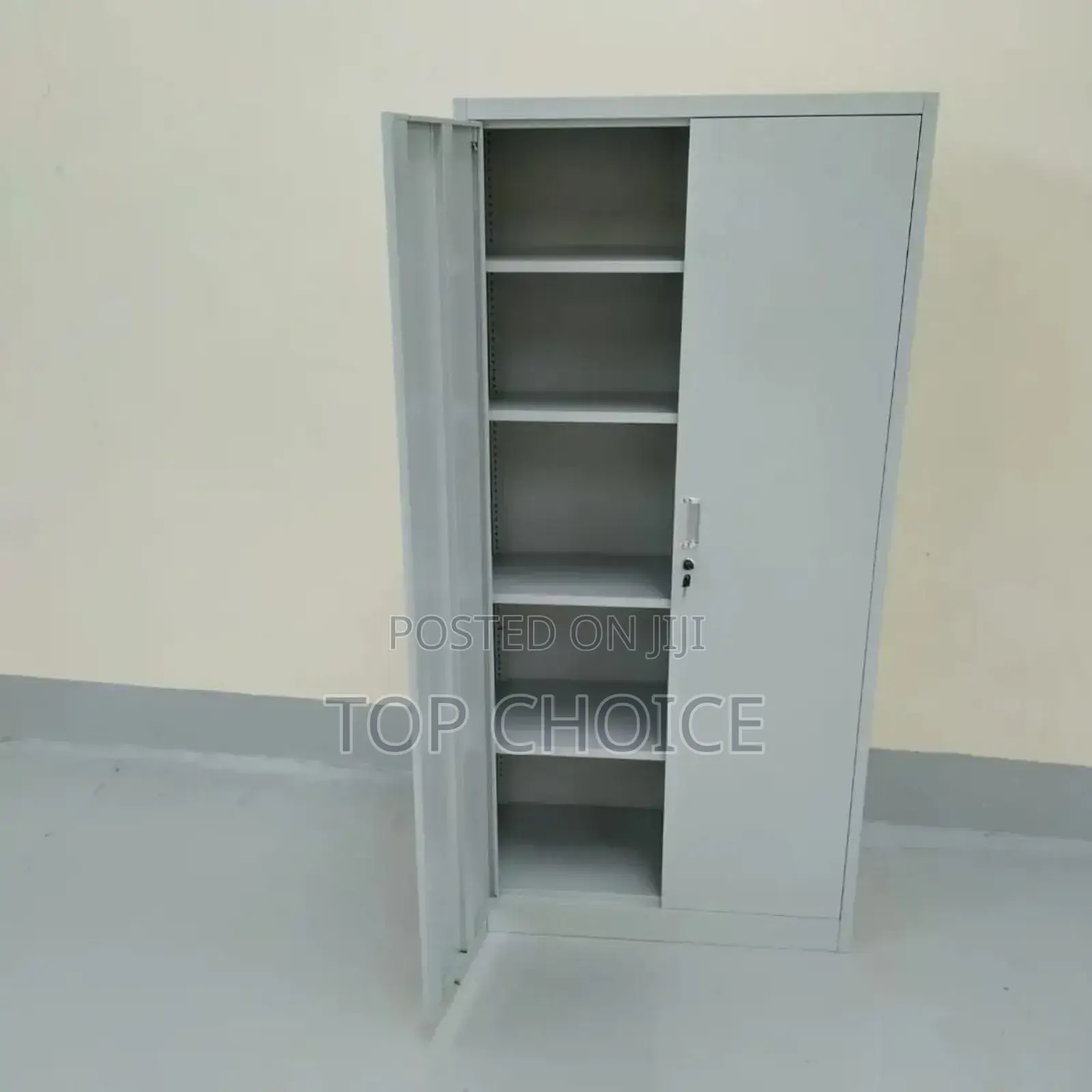 Two Door Metallic Cabinets