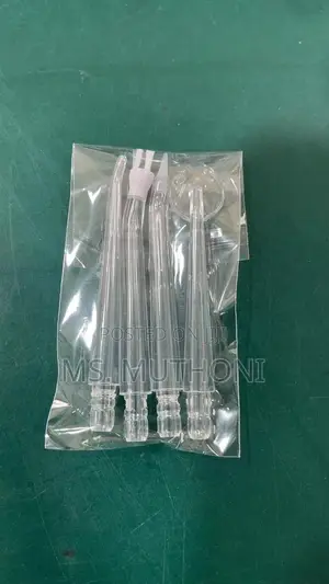 4 Nozzles New Dental Hygiene Gadget / Flosser