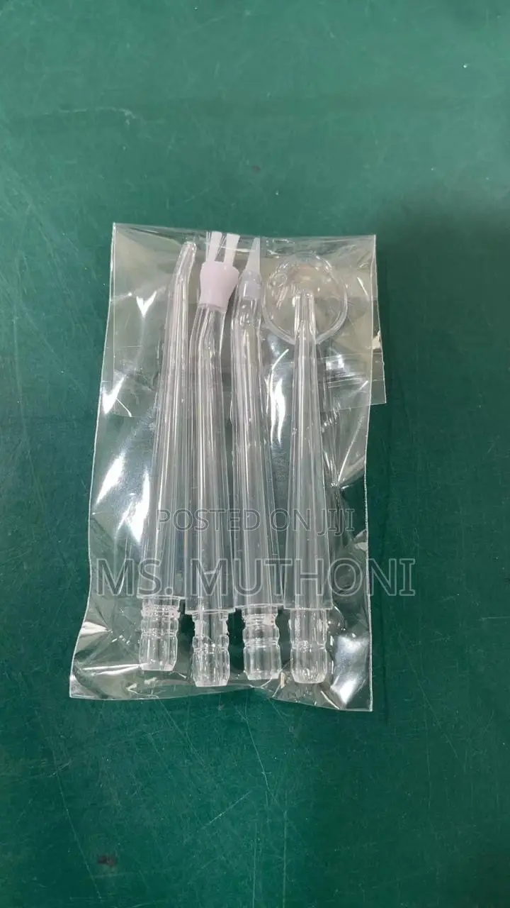 4 Nozzles New Dental Hygiene Gadget / Flosser
