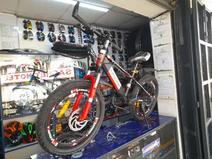 Size 20 - 21 Speed Disk Indian Bike