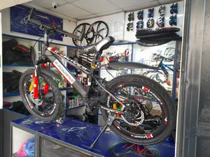 Size 20 - 21 Speed Disk Indian Bike