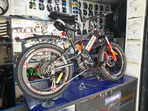 Size 20 - 21 Speed Disk Indian Bike