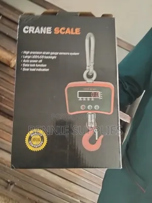 Affordable 500kg Mini Crane / Available 500kg Mini Crane