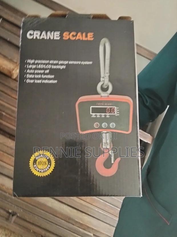 Affordable 500kg Mini Crane / Available 500kg Mini Crane