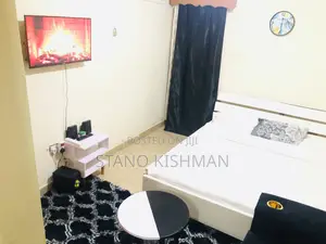 Furnished Studio Apartment in Roysambu, Nairobi for rent