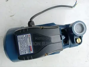 Brand New Booster Pump
