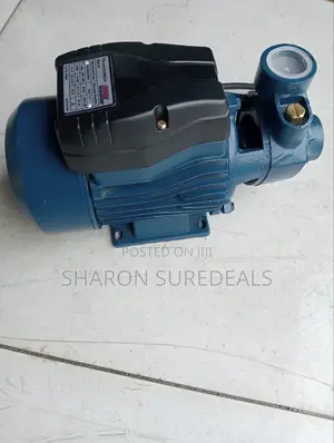 Brand New Booster Pump