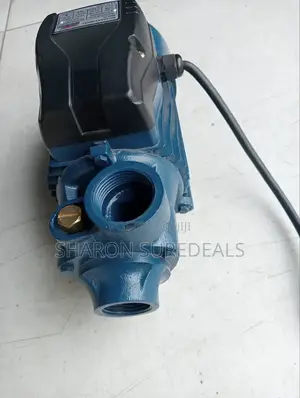 Brand New Booster Pump