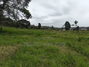 Eighth Acre Plot in Kerarapon Drive, Ngong 100m From Tarmac