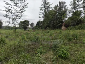 Eighth Acre Plot in Kerarapon Drive, Ngong 100m From Tarmac