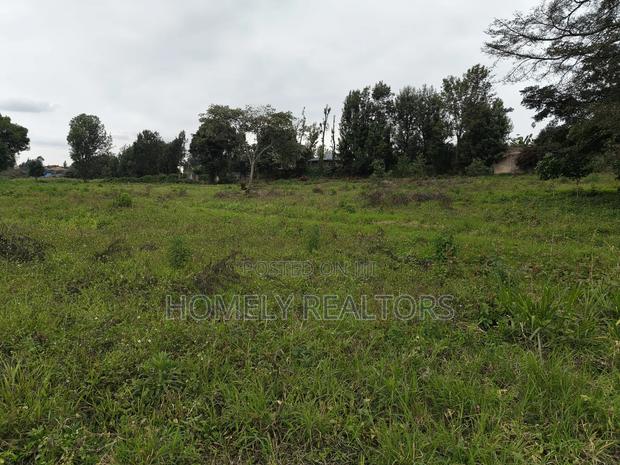 Quarter Acre Plot in Kerarapon Drive, Ngong 100m From Tarmac - thumbnail 3