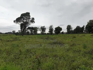 Quarter Acre Plot in Kerarapon Drive, Ngong 100m From Tarmac