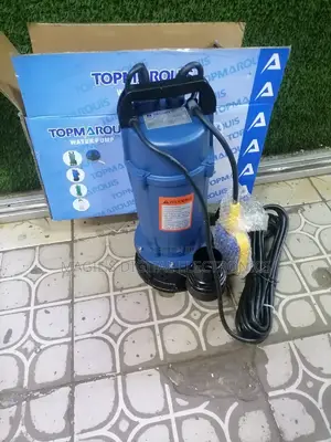 Most Affordable 2" Marquis Submersible Pump