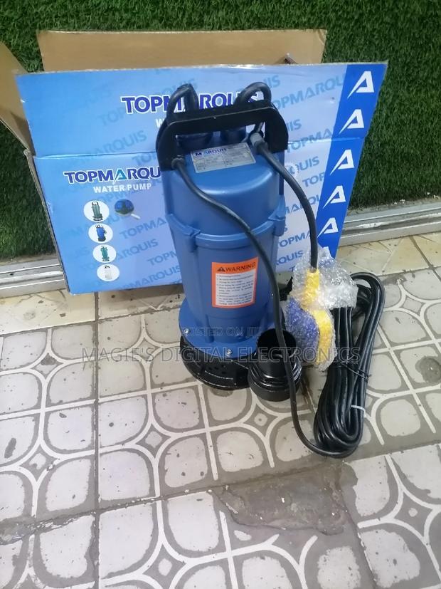 Most Affordable 2" Marquis Submersible Pump