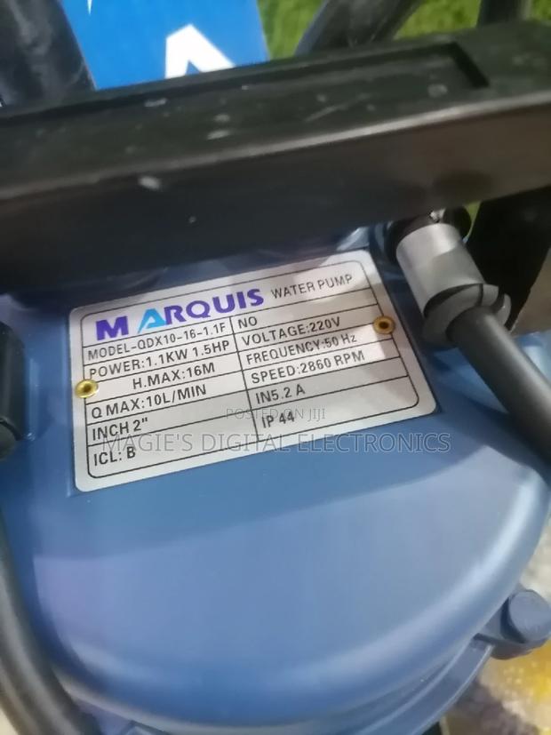 Well Performing 2" Marquis Submersible Pump