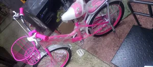 Size 20 Kids Bicycle Best Color For Girls