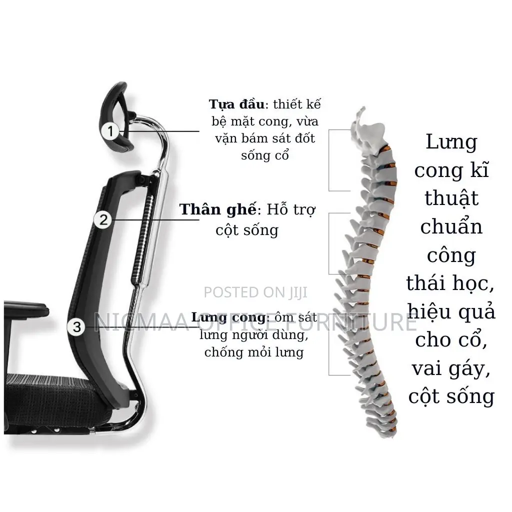 Orthopedic Office Chair With Lumbar Support