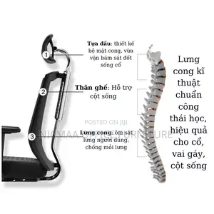Orthopedic Office Chair With Lumbar Support