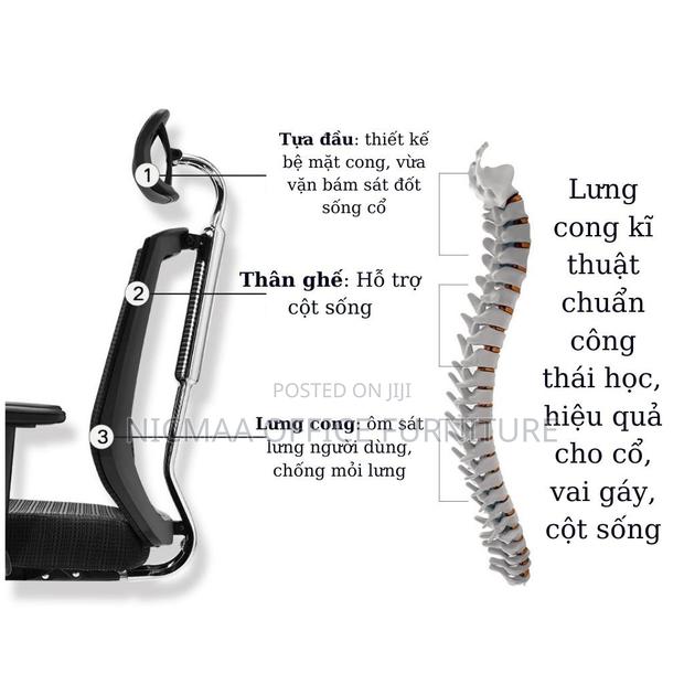 Orthopedic Office Chair With Lumbar Support - thumbnail 4