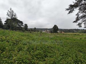 Half Acre Plot in Kerarapon Drive, Ngong 100m From Tarmac - thumbnail 2