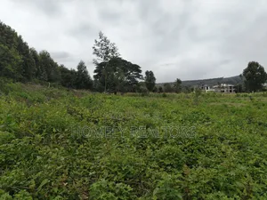 Half Acre Plot in Kerarapon Drive, Ngong 100m From Tarmac
