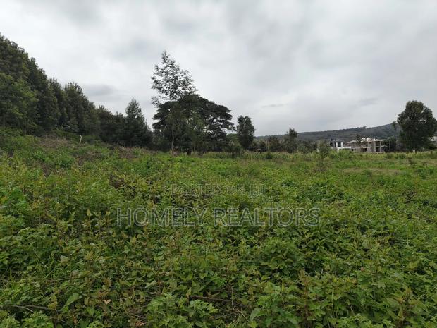 Half Acre Plot in Kerarapon Drive, Ngong 100m From Tarmac - thumbnail 4