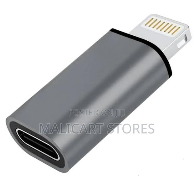 Lightening Male to Type C Female Adapter - thumbnail 2