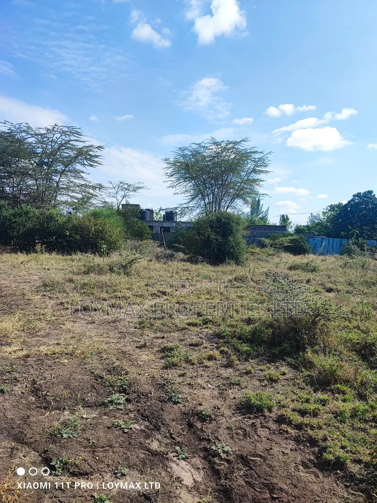 50/100 Plot on Sale Kitengela Milimani Sensei Road.