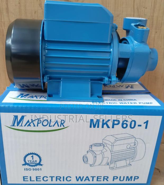 Electric Maxpolar Submersible Pump 0.5hp