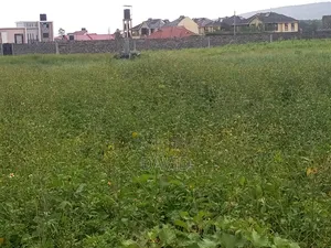 Plot for Sale in Muwa