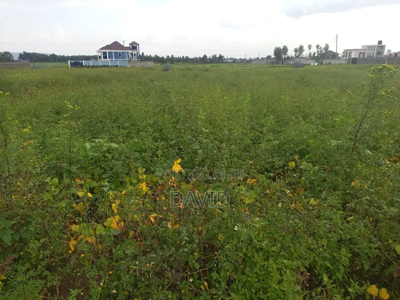 Plot for Sale in Muwa