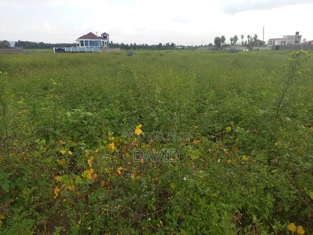 Plot for Sale in Muwa - thumbnail 8