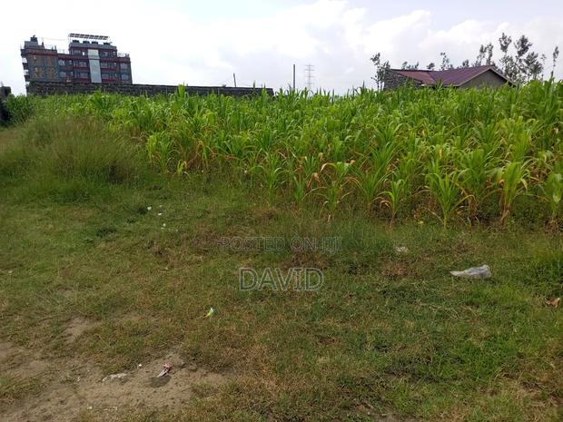 Plot for Sale in Muwa - thumbnail 9