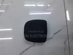 Studio Microphone Sponge