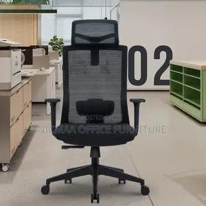Farini Ergoflex Mesh Office Chair With Headrest