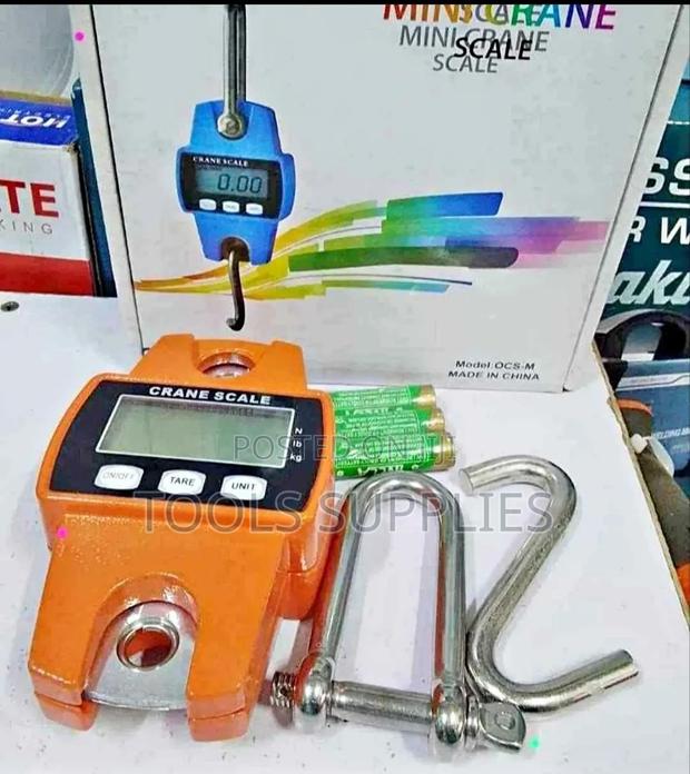 Crane Scale/ Crane Scale 300 KGS - main view